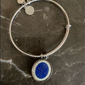 Taurus Alex and Ani